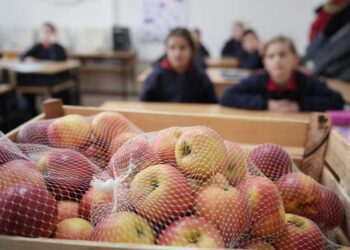 По 4 килограми јаболко за секој ученик и во Струмица