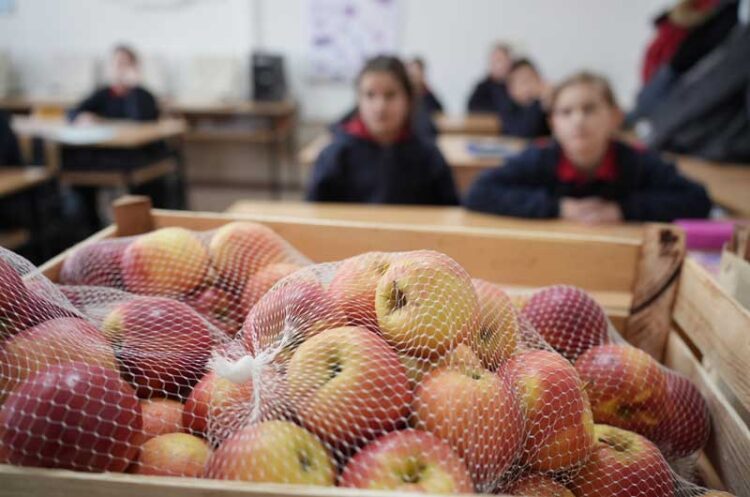 По 4 килограми јаболко за секој ученик и во Струмица