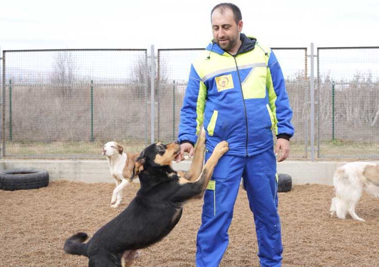 И официјално од денеска започна со работа Стационарот за заловување на бездомни кучиња во Струмица