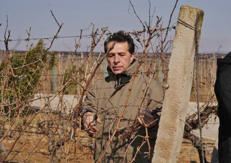 Струмичката компанија „ГРОЗД“ го прослави Свети Трифун на лозовите плантажи на „Струмичко поле“