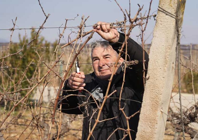 Струмичката компанија „ГРОЗД“ го прослави Свети Трифун на лозовите плантажи на „Струмичко поле“