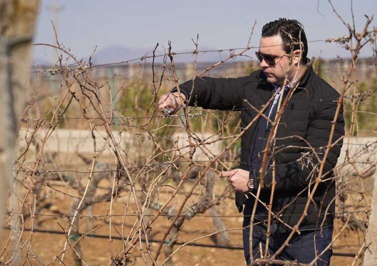 Струмичката компанија „ГРОЗД“ го прослави Свети Трифун на лозовите плантажи на „Струмичко поле“