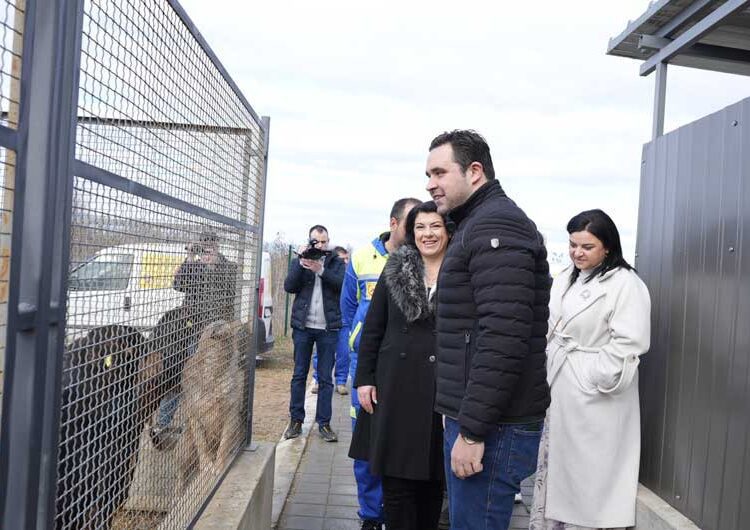 И официјално од денеска започна со работа Стационарот за заловување на бездомни кучиња во Струмица