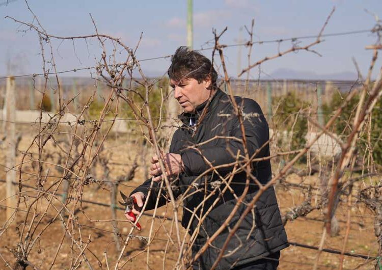 Струмичката компанија „ГРОЗД“ го прослави Свети Трифун на лозовите плантажи на „Струмичко поле“