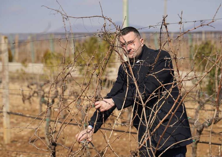 Струмичката компанија „ГРОЗД“ го прослави Свети Трифун на лозовите плантажи на „Струмичко поле“