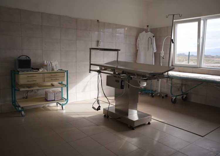 И официјално од денеска започна со работа Стационарот за заловување на бездомни кучиња во Струмица