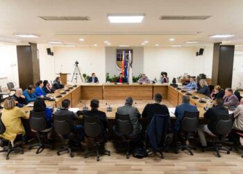 Локалниот совет за превенција ќе дебатира за бесправната сеча на дрва, дрвосечачките машини низ улиците, труењето на кучињата