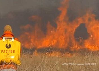 Облак од густ црн чад се гледаше од повеќе точки на Струмица – пожар во месноста Софилар