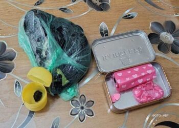 Во Струмица уапсен дилер на дрога, кај него дома пронајдени повеќе видови дрога