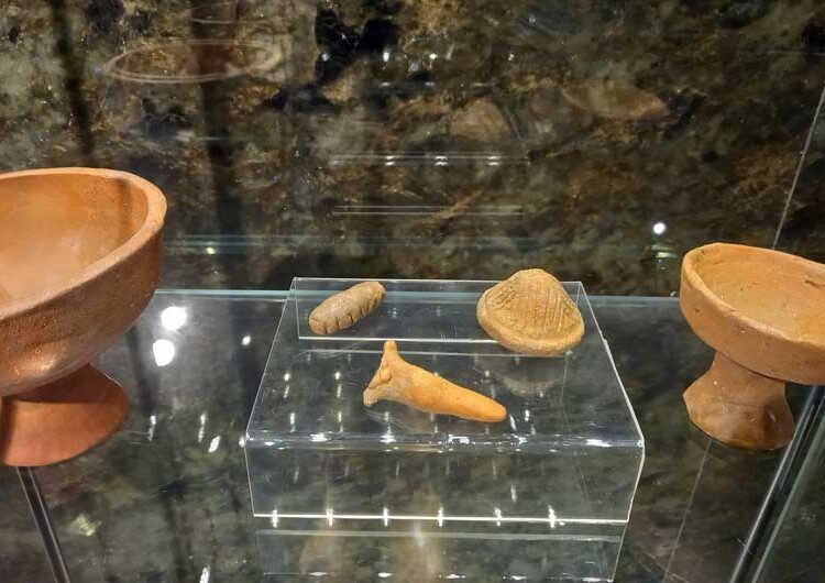 „Завод и Музеј“ од Струмица во Археолошкиот музеј во Скопје ја постави изложбата „Праисторија во Струмичко-радовишкиот регион“