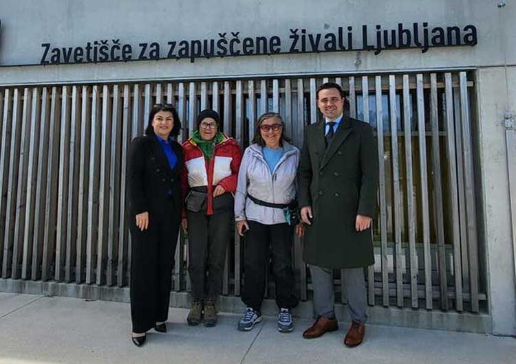 Струмица ќе собира искуства од Љубљана за градскиот транспорт, третманот на бездомните животни, но и за рециклирањето на отпадот