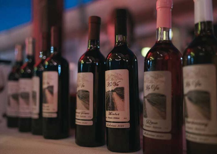 Во центарот на Ново Село по втор пат се одржа „Пролетен концерт“ – спој од музика, храна и вино