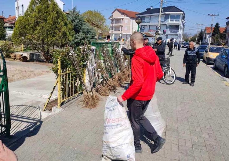 Во Општина Босилово собрани 1000 килограми пластика – за возврат граѓаните добија овошни садници од општината