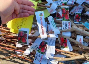 И годинава Општина Босилово ќе дава овошни садници во замена за пластични шишиња