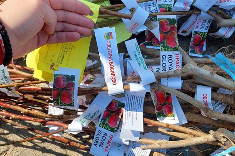 И годинава Општина Босилово ќе дава овошни садници во замена за пластични шишиња