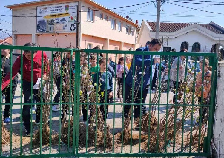 Во Општина Босилово собрани 1000 килограми пластика – за возврат граѓаните добија овошни садници од општината