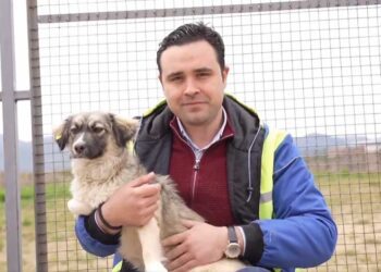 Градоначалникот Костадинов и кучето Струмка Ве повикуваат да вдомите домашно милениче