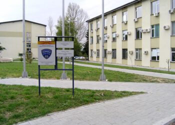 Приведен крадец во Струмица