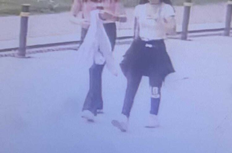 Две ученички од струмичко кои биле на екскурзија во Скопје се изгубени – МВР презема мерки за нивно пронаоѓање