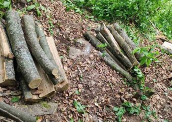 Приведени три лица од Банско, затекнати при пустошење на шума