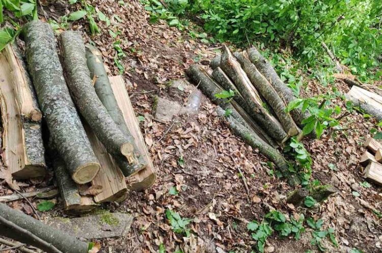 Приведени три лица од Банско, затекнати при пустошење на шума