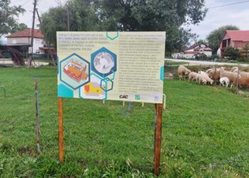 Поставени табли со идејни решенија на приоритетите на жителите од село Добрејци