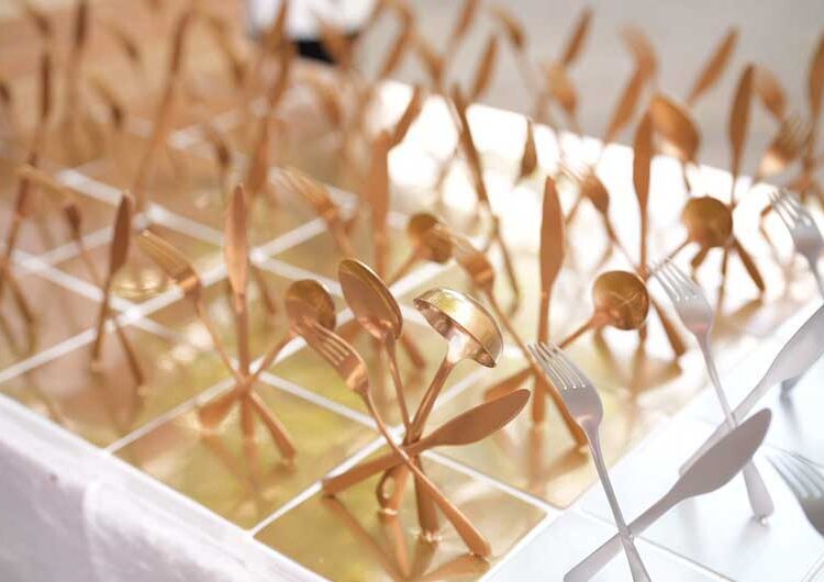 Млади готвачи од Струмица, Штип, Гевгелија и Кратово ги покажаа своите кулинарски вештини на „Tasty“ – Струмица 2023