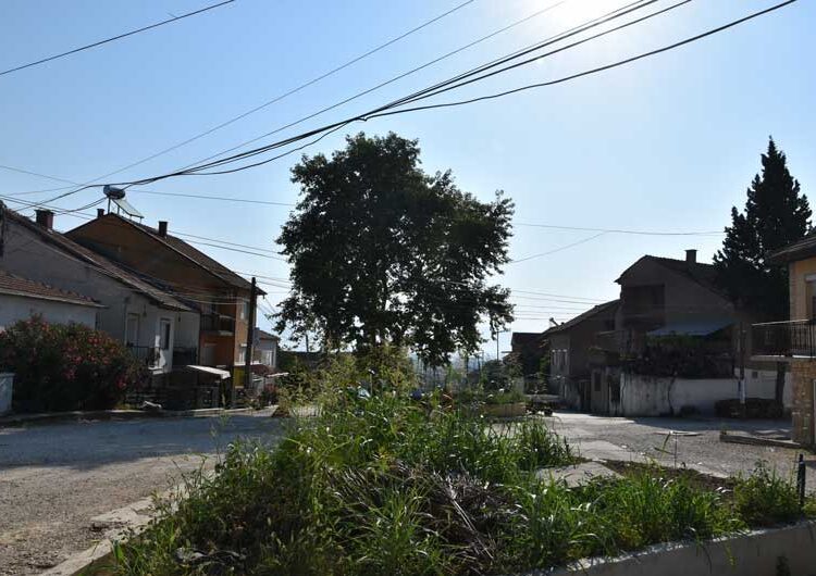 Се сече јавор на реконструираната „Крушевска Република“ стар 36 години – реагираат дел од жителите