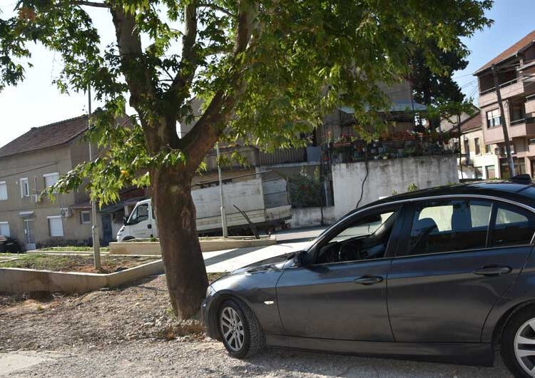 Се сече јавор на реконструираната „Крушевска Република“ стар 36 години – реагираат дел од жителите