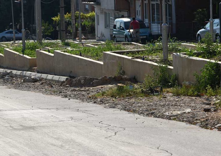 Се сече јавор на реконструираната „Крушевска Република“ стар 36 години – реагираат дел од жителите