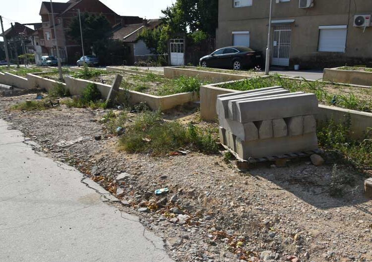 Се сече јавор на реконструираната „Крушевска Република“ стар 36 години – реагираат дел од жителите