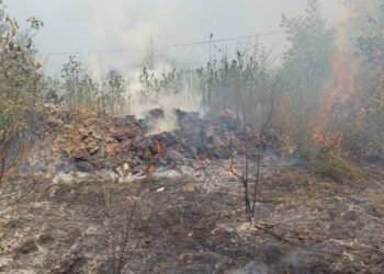 Струмичките пожарникари три ипол часа се справувале со пожар на депонија и нискостеблеста шума кај Колешино