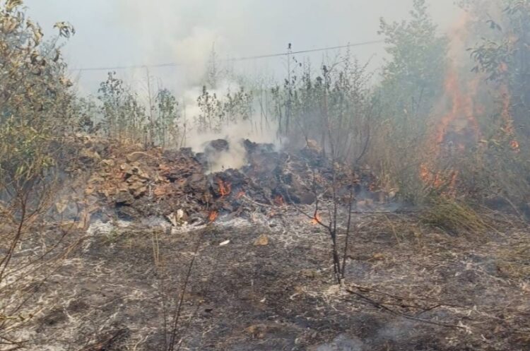 Струмичките пожарникари три ипол часа се справувале со пожар на депонија и нискостеблеста шума кај Колешино