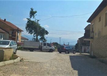 Се сече јавор на реконструираната „Крушевска Република“ стар 36 години – реагираат дел од жителите