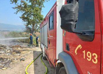 На пладне гореа сува трева, стрниште, депонија – интервенираа пожарникарите на Струмица