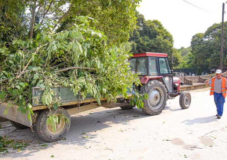„Комуналец“ почна со генерално чистење на Градските гробишта во Струмица