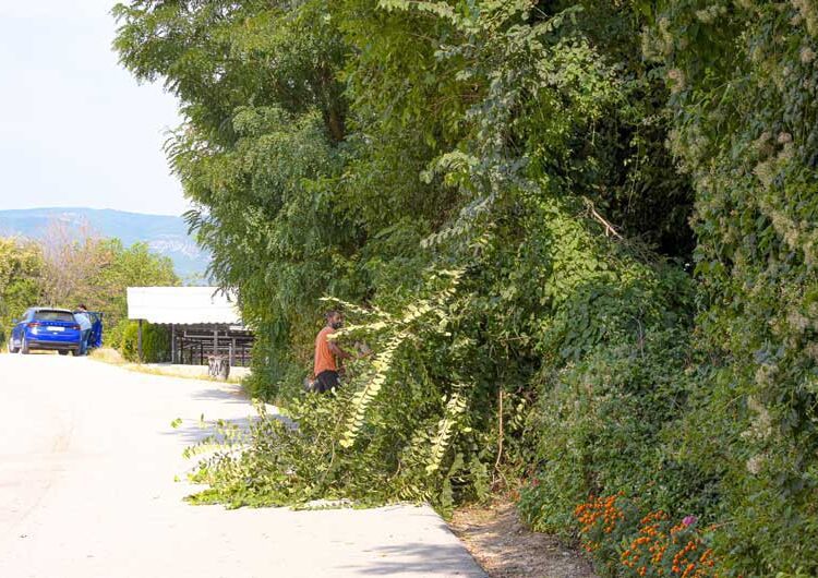 „Комуналец“ почна со генерално чистење на Градските гробишта во Струмица