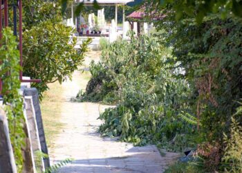 „Комуналец“ почна со генерално чистење на Градските гробишта во Струмица