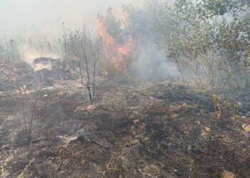 Три пожари во струмичко – гореле депонии, стрниште