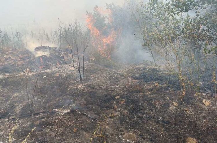 Три пожари во струмичко – гореле депонии, стрниште