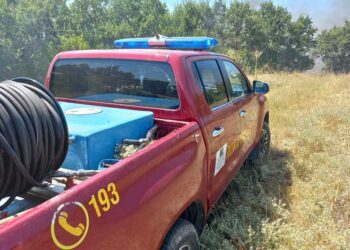 Голем пожар кај Костурино, 15-тина пожарникари се обидуваат да го изгаснат