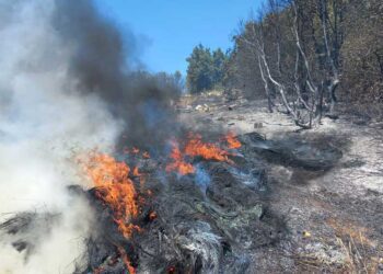 Голем пожар кај Костурино, 15-тина пожарникари се обидуваат да го изгаснат