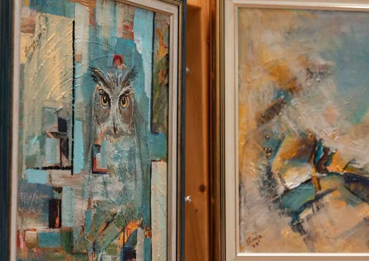 Во „Европската куќа“ во Струмица поставена изложба на Соња Настовска