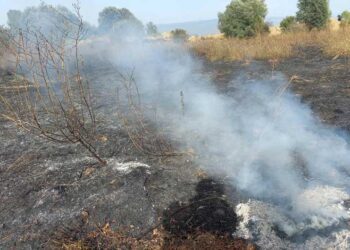 Пожар во атарот на Просениково – гореле викендица, шупи и стрниште