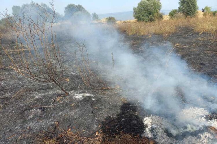 Пожар во атарот на Просениково – гореле викендица, шупи и стрниште