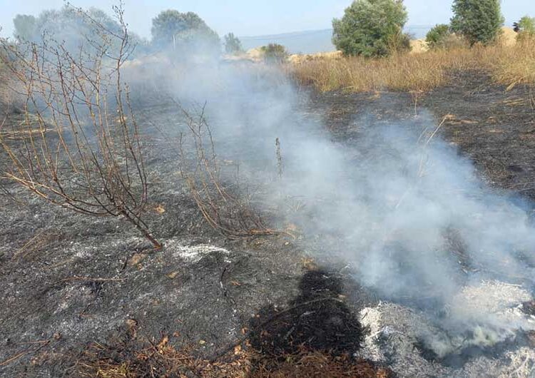 Пожар во атарот на Просениково – гореле викендица, шупи и стрниште