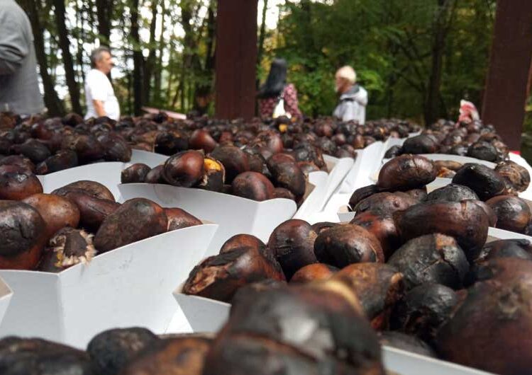 Мирисот на печениот костен пак се почуствува под падините на Беласица кај Смолари