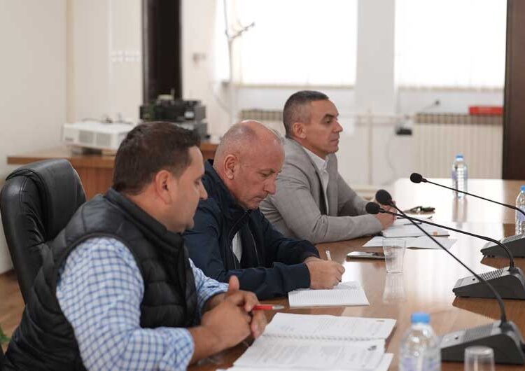 Аризанов: Граѓаните на Струмица се чувствуваат безбедно, а тие што не се чувствуваат така, како проблем ги посочуваат кучињата скитници