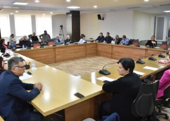 Граѓанските организации бараат квота на застапеност на лицата со попреченост во политичкиот живот