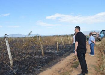 Пожар во месноста Врчви на потегот меѓу селата Ангелци, Градашорци и Едрениково